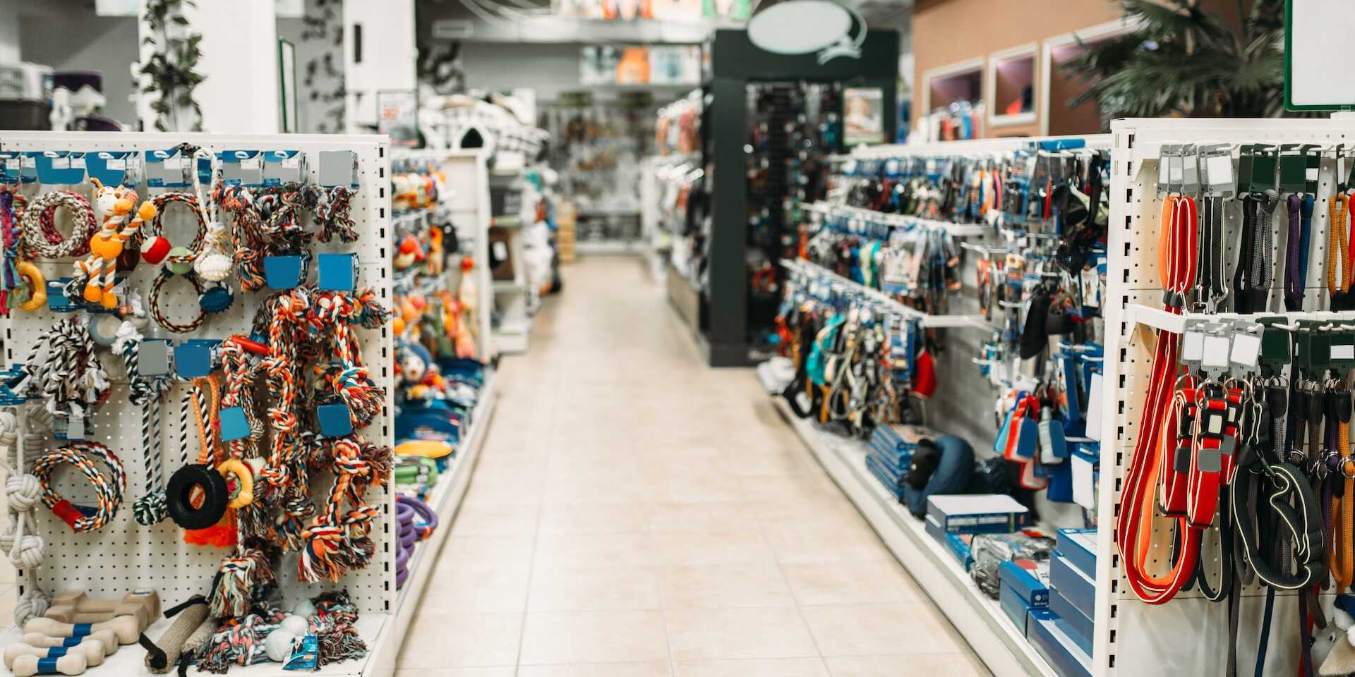 10 alapvető kisállat kiegészítő minden új kisállattartónak